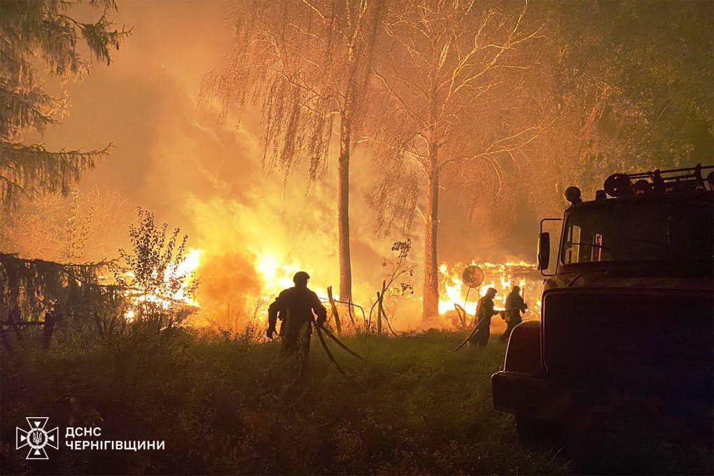 1492417839286542192 n