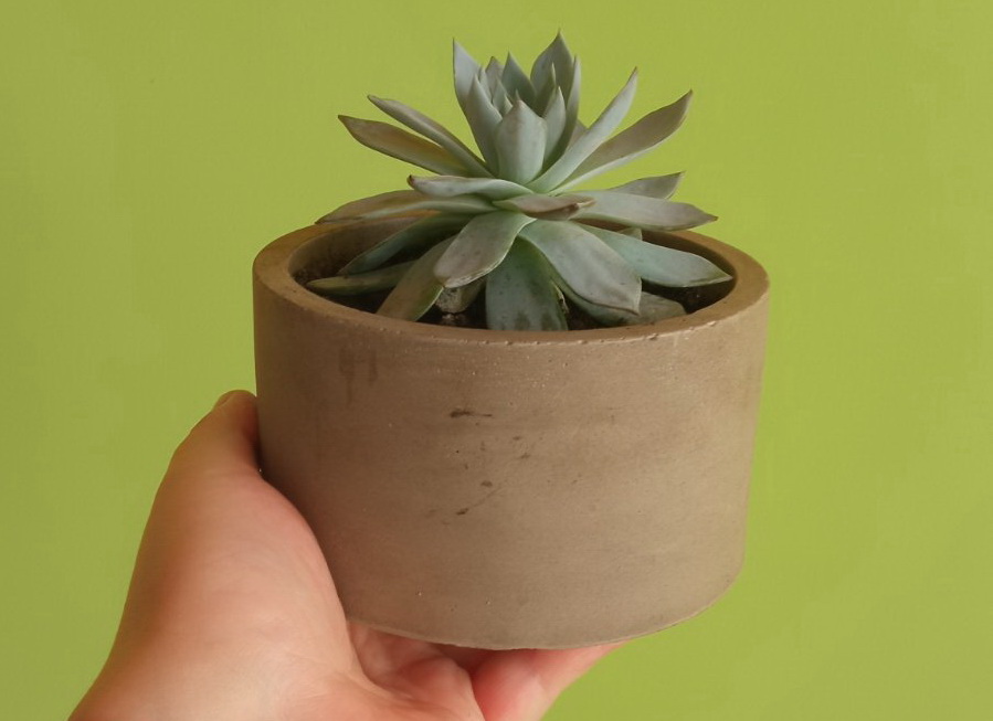 234234354645675675756