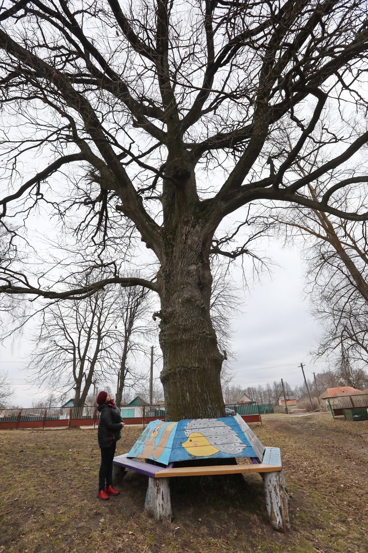 2342353464564534566456