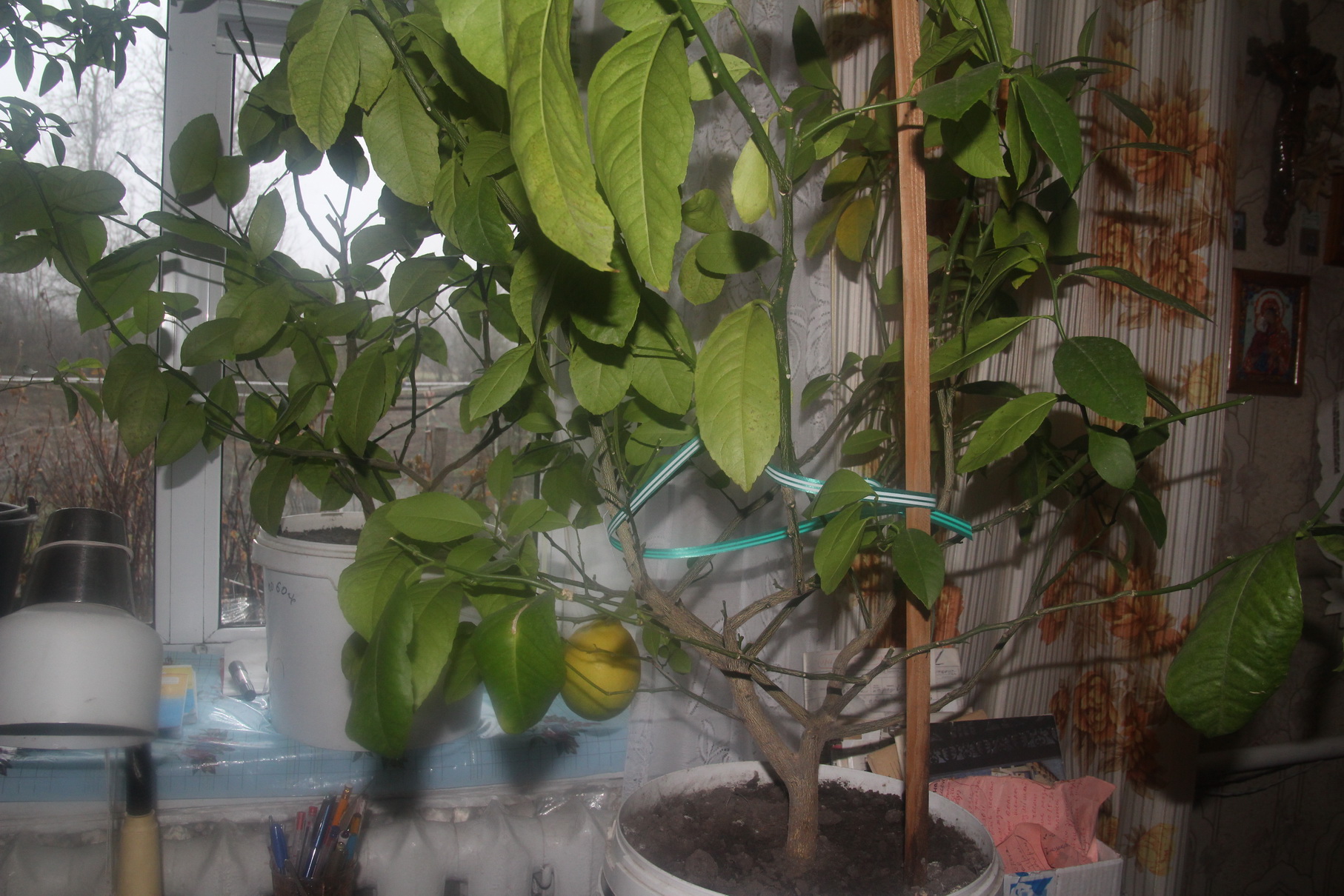 2345324534564564561014