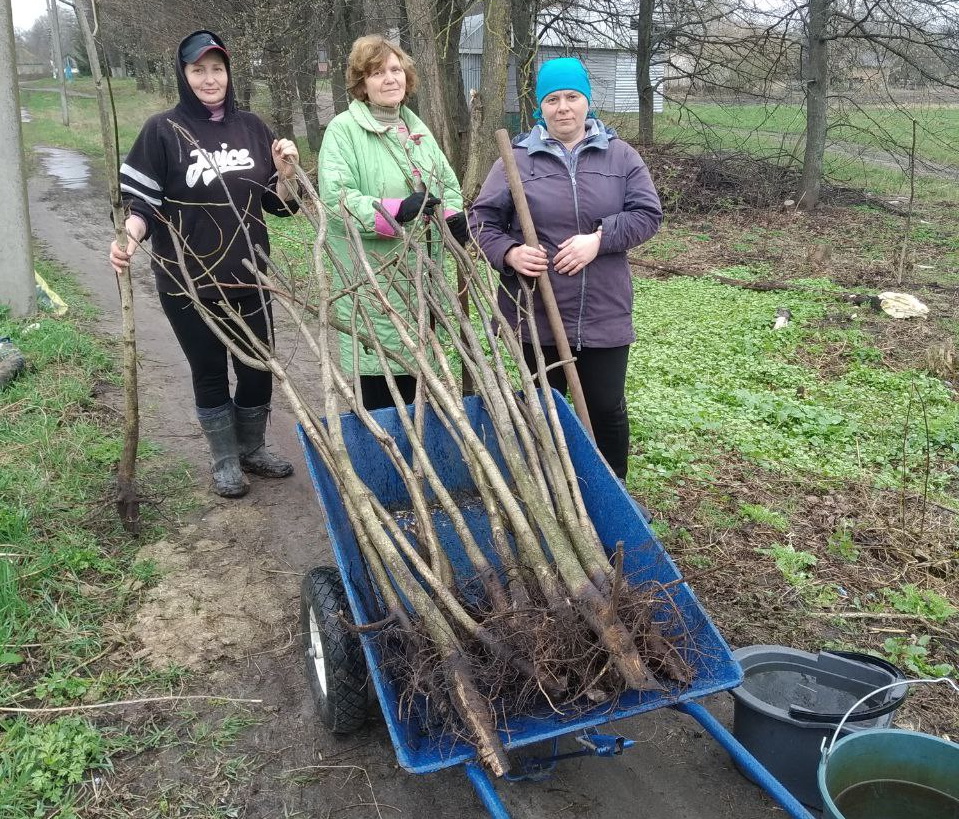 23453456456456754722 0