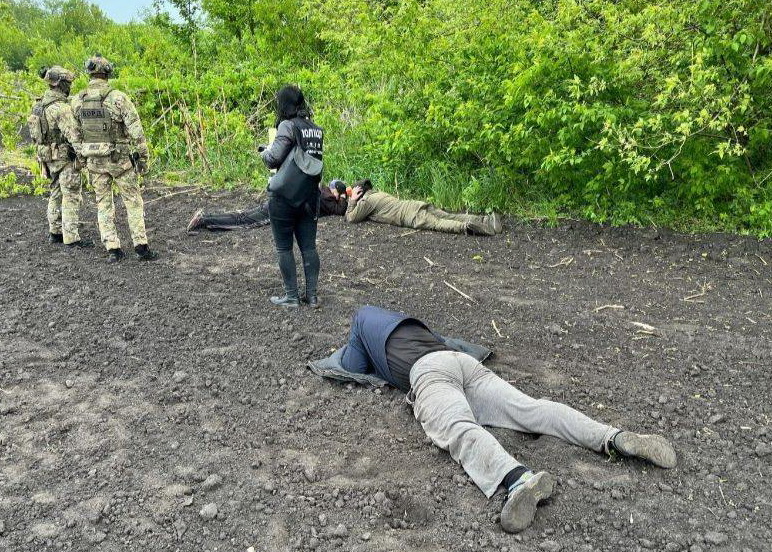 3330644628753030412 n