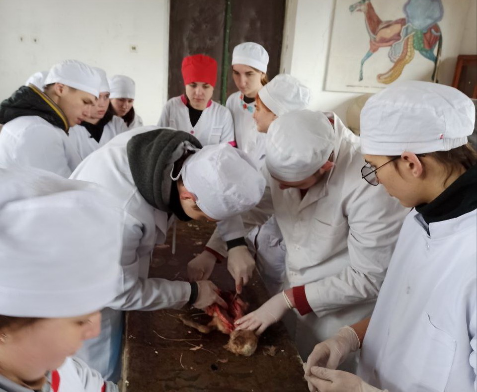 34534534563453463456