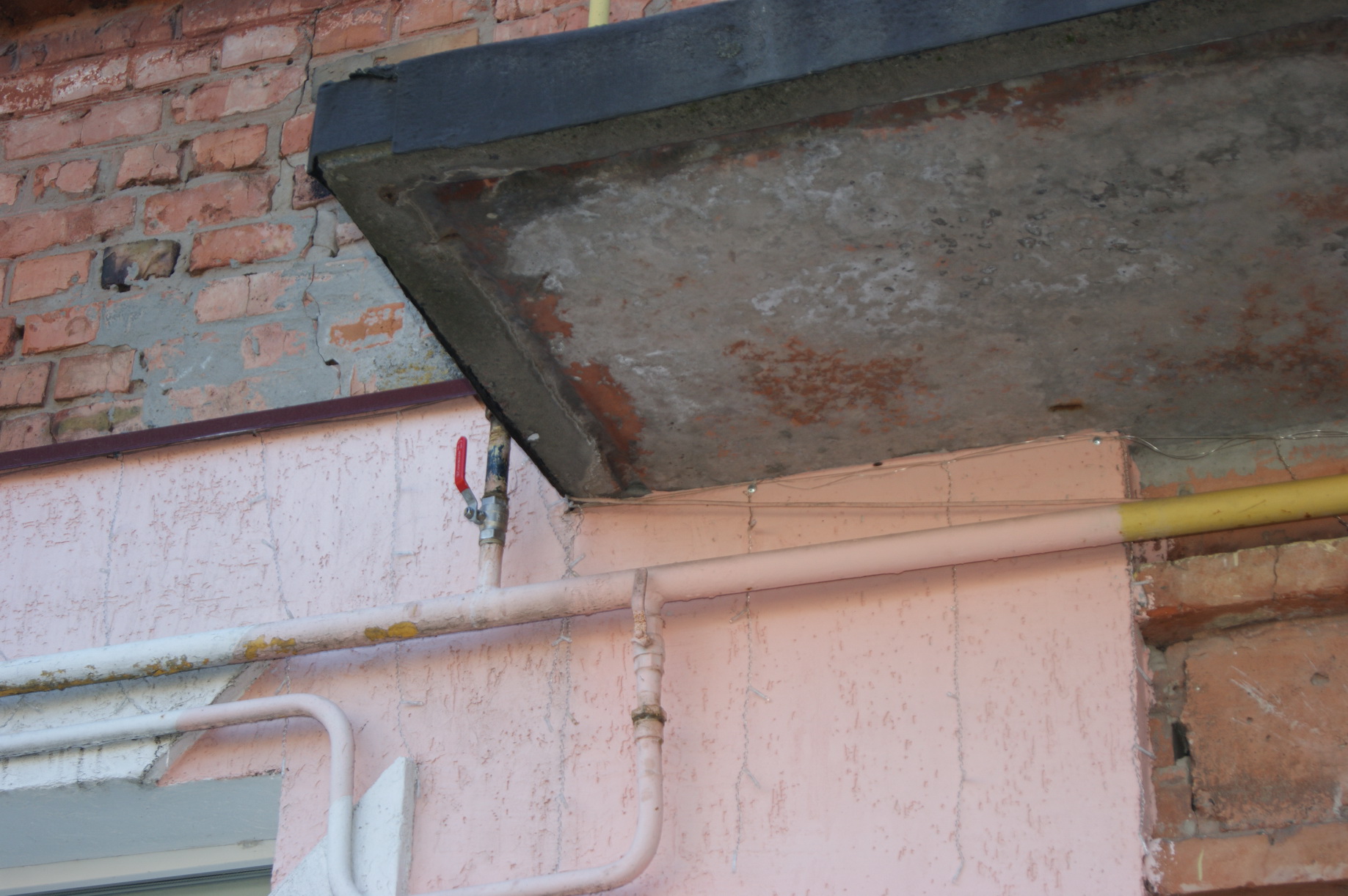 34534565647567655645644