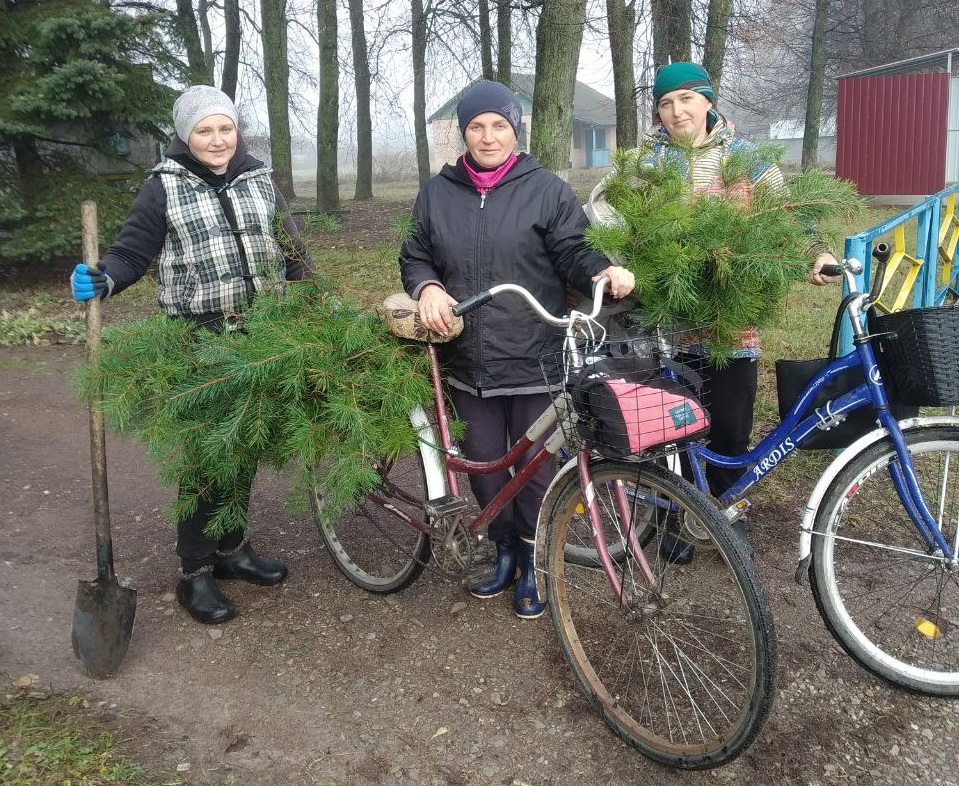 345456675675654545555