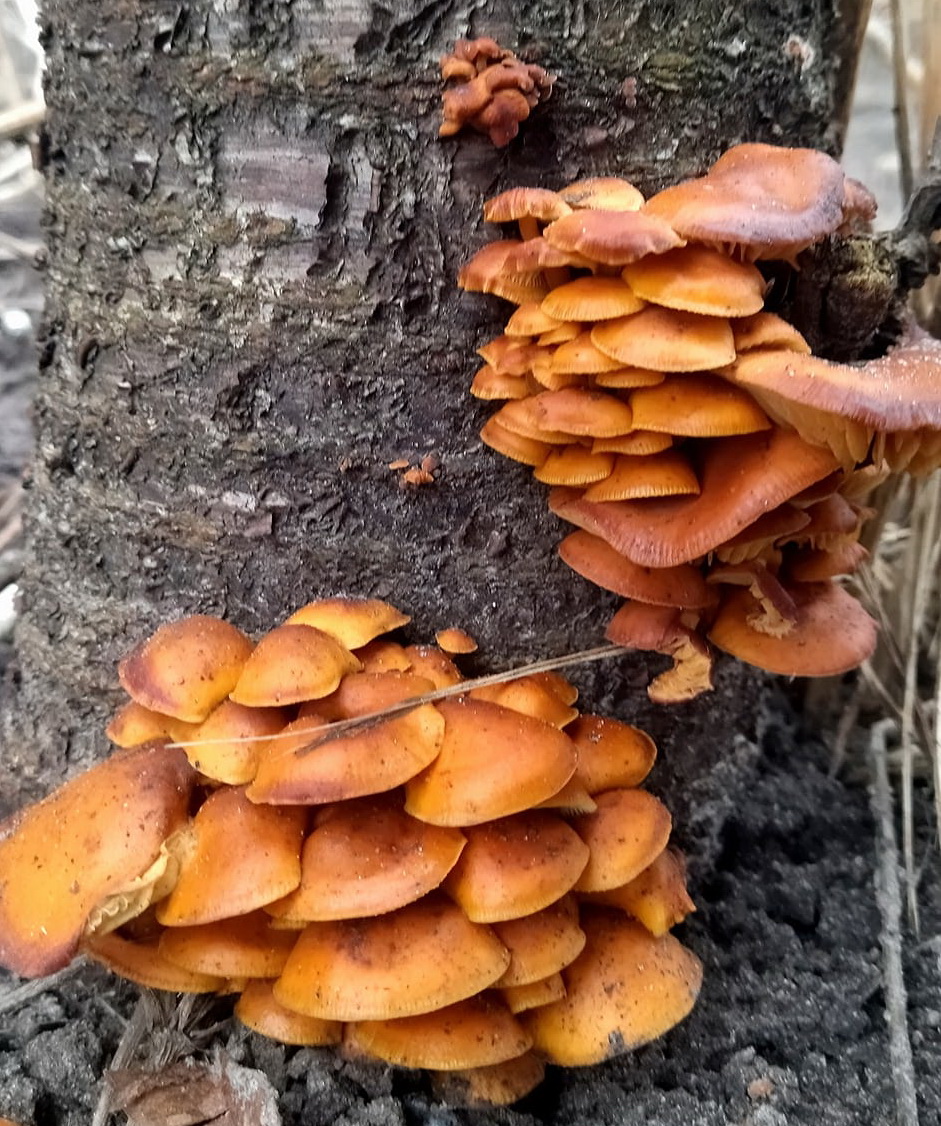 424638645 1438635313388109n