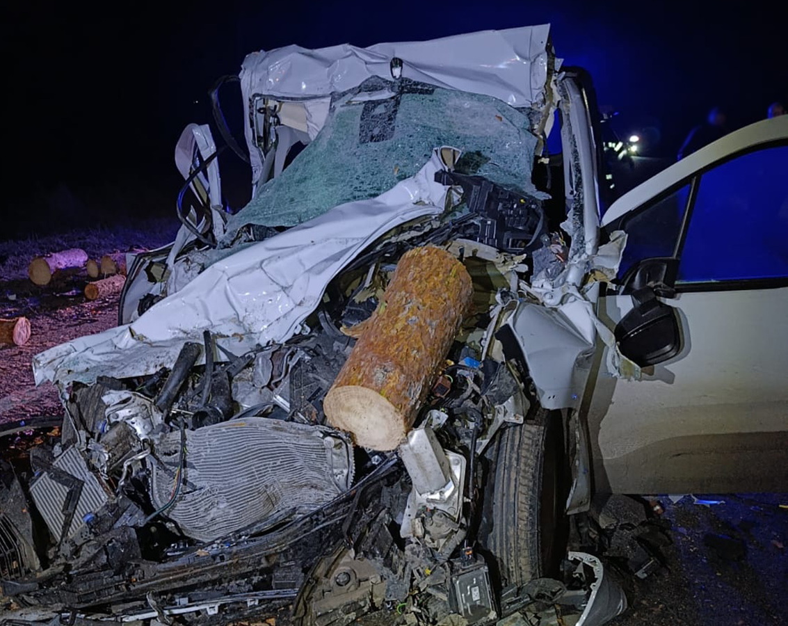 69c62c203a526006029612