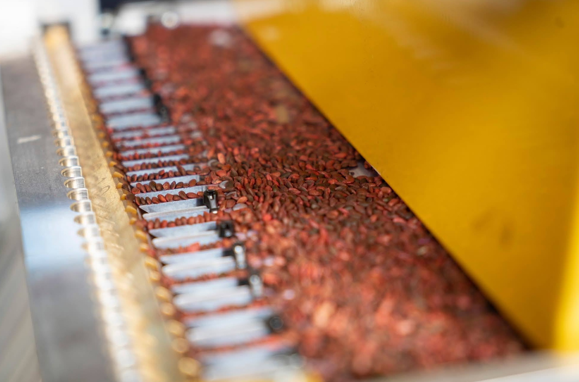 81854100951467507623