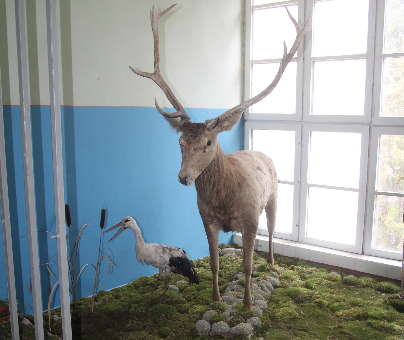 897896745345234523435