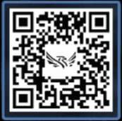 photo 2024 11 04 14 55 31