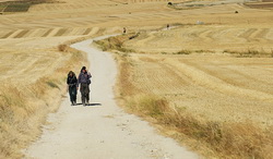 foto6042019dosvidheni 6