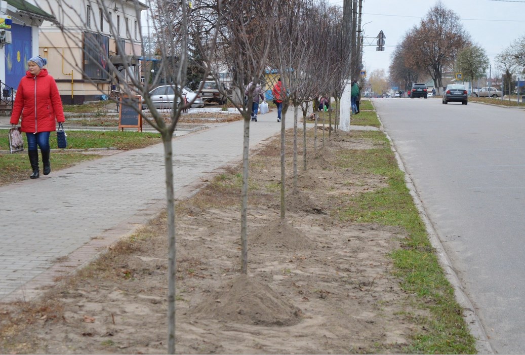 фото Сусіди.Сіty