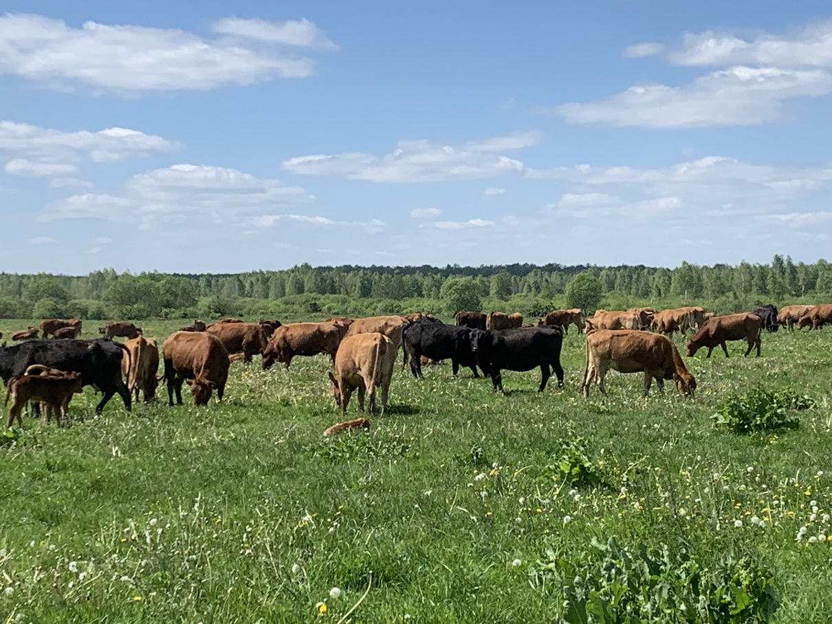 15678764567657567567