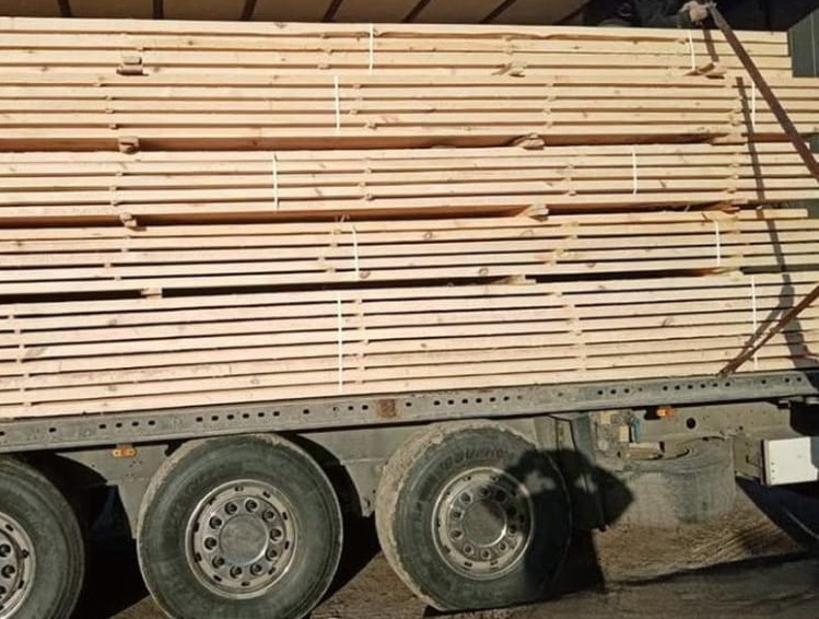 1919997806706829402 n