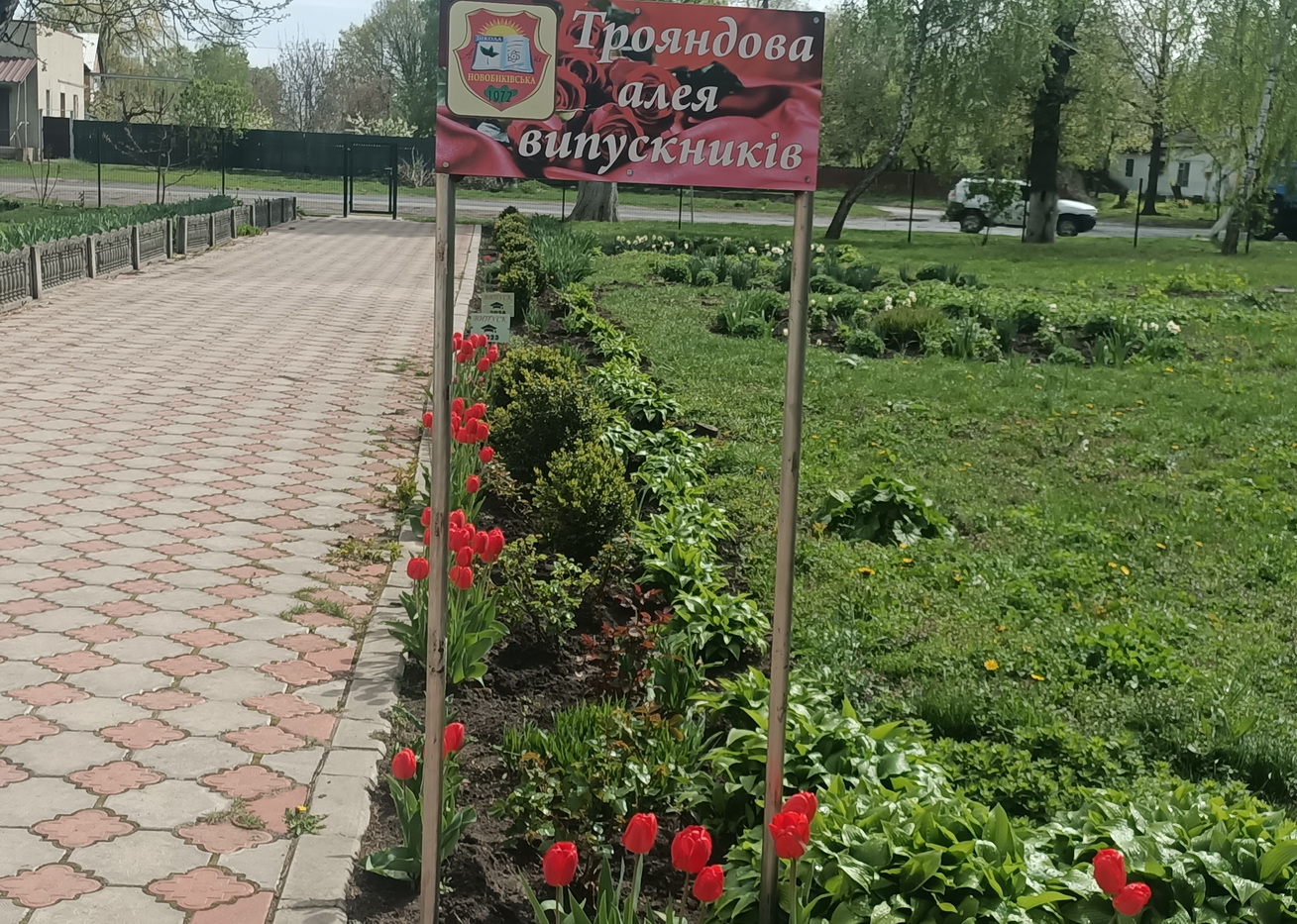 32452345346546756745