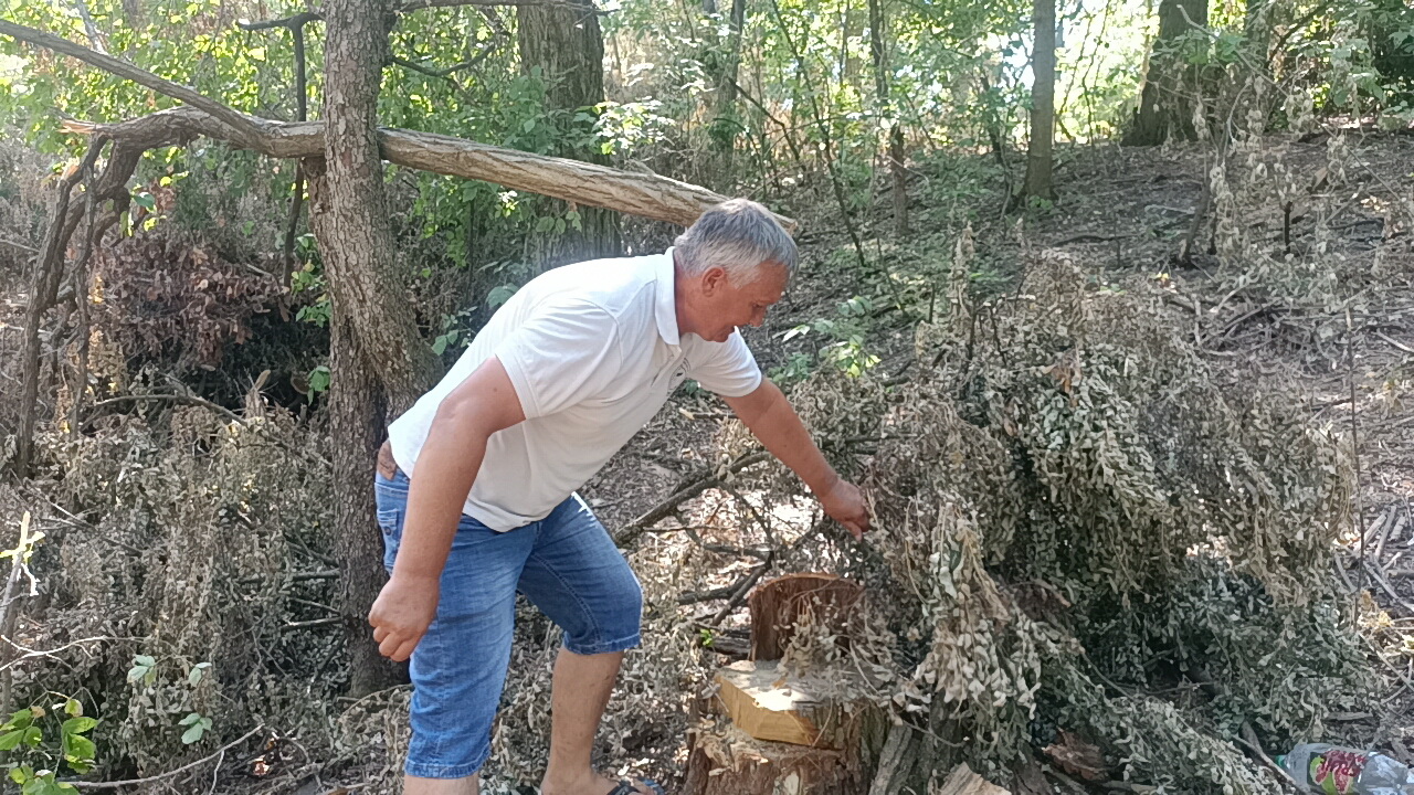 345645654654675646456456