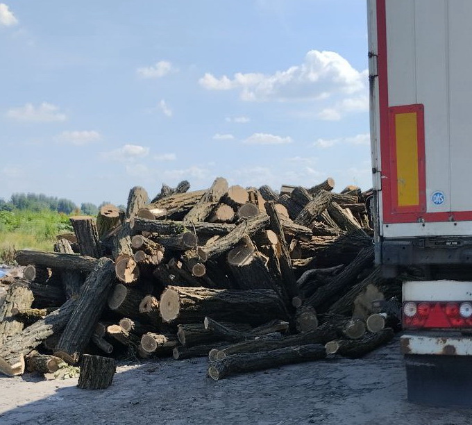 456456546745676756767