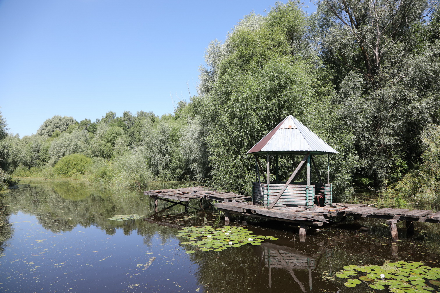 456576867887978967679