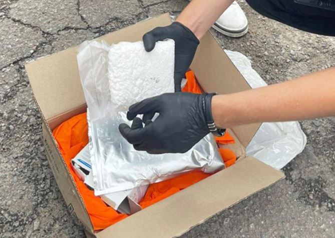 5445664545645645564563