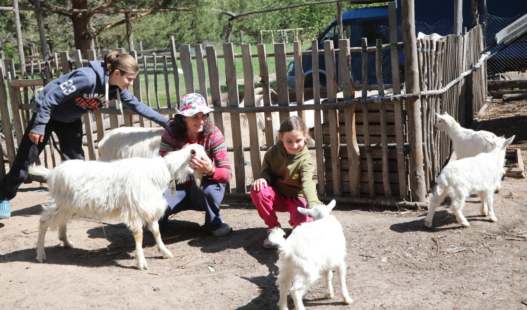 54654566565456456756767