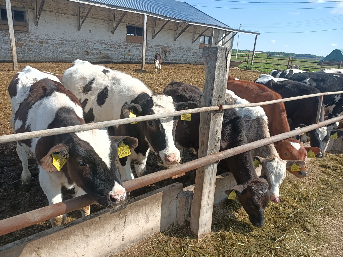 55644567567567565756