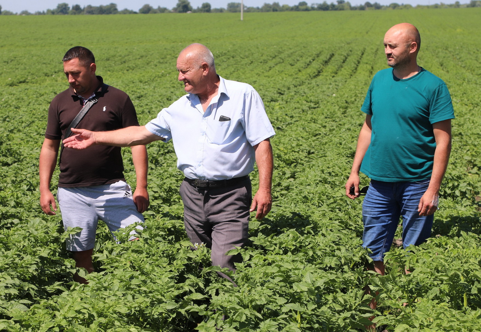 67876765664564646456546