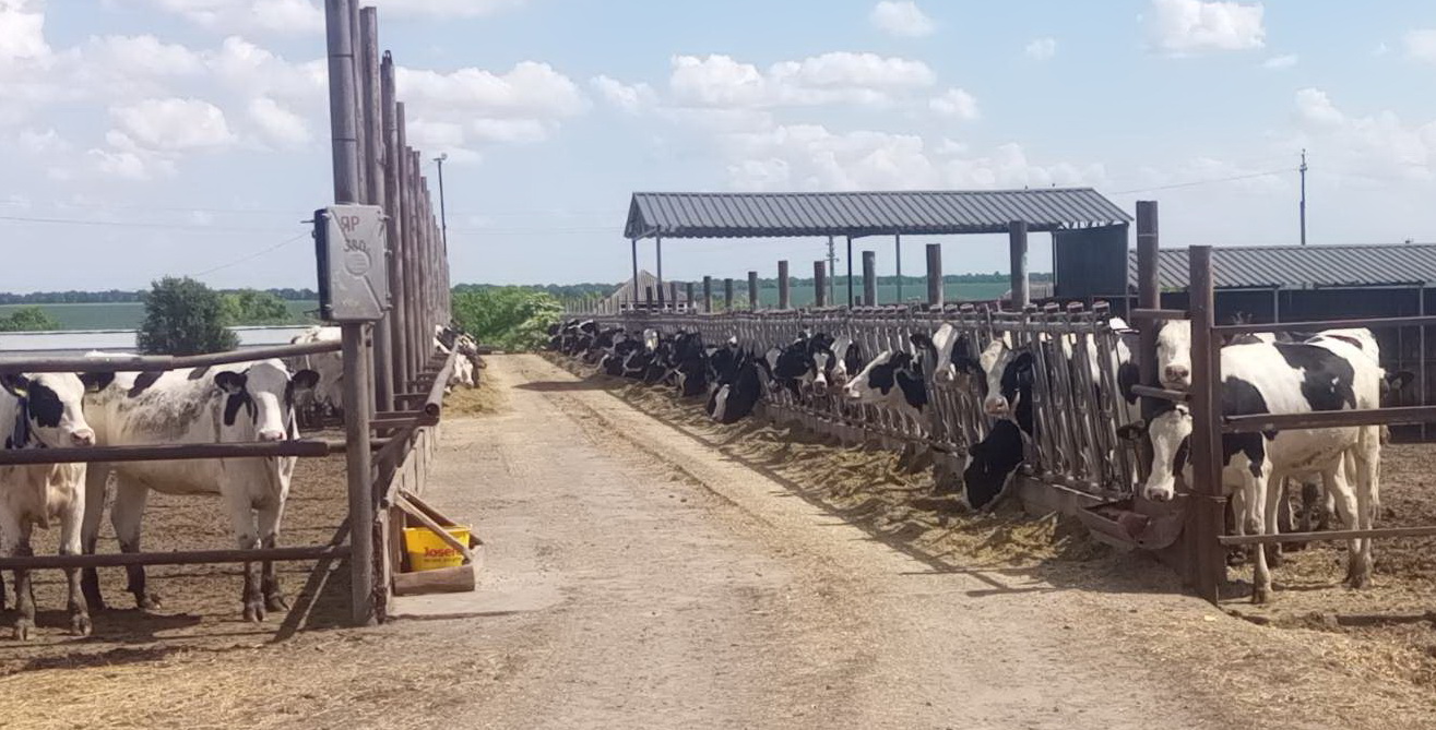 695678865645675676756