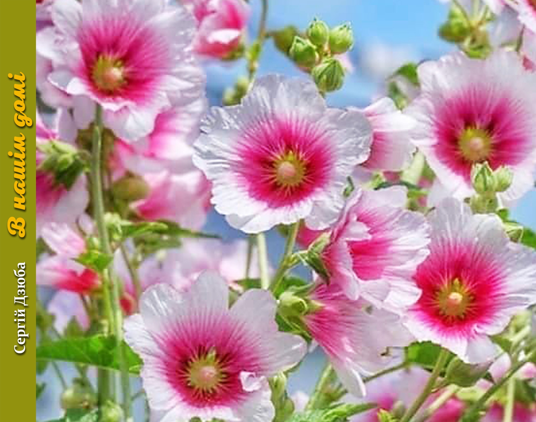 Обкладинка 2