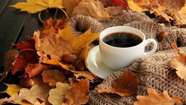 Осіннє листя. Кава