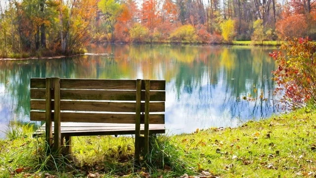 Осінь. Берег річки 1