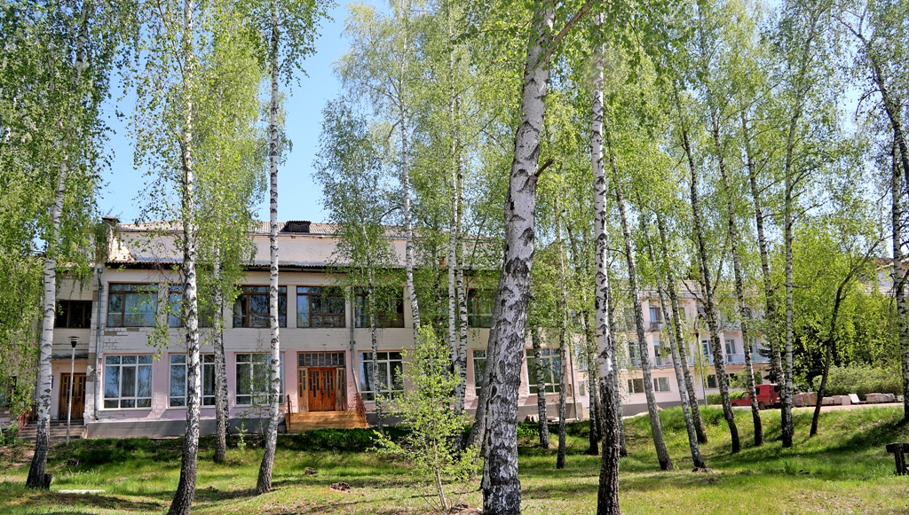 Чарівні остреченські берізки