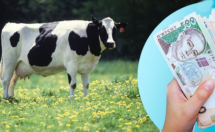 до дотацій на корів