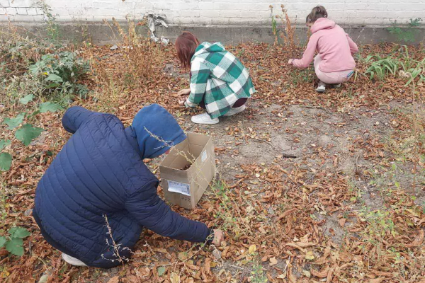 У Бобровицькій громаді зібрані каштани перетворили на кошти для ЗСУ