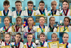 В Чернігові відбувся чемпіонат області з тхеквондо