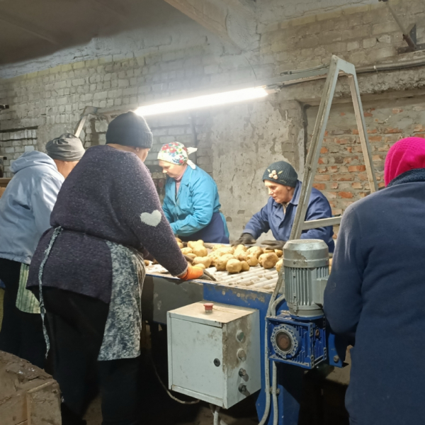 Працюють сортувальниці