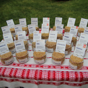 Зразки сортів зернових