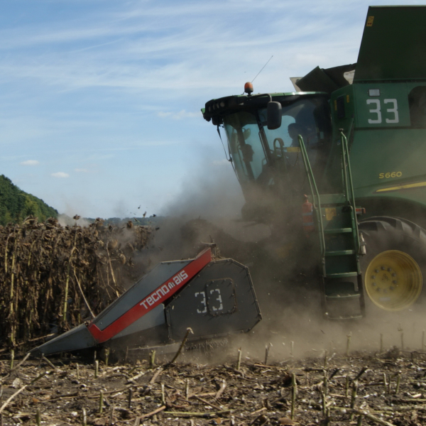 У ТОВ «Земля і воля» такої трудової напруги ще не було