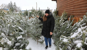 Городнянські лісівники відкрили ялинковий ярмарок
