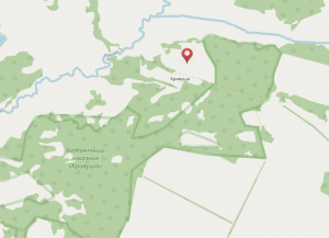 Кривуша - село без людей, але з пам’ятками…