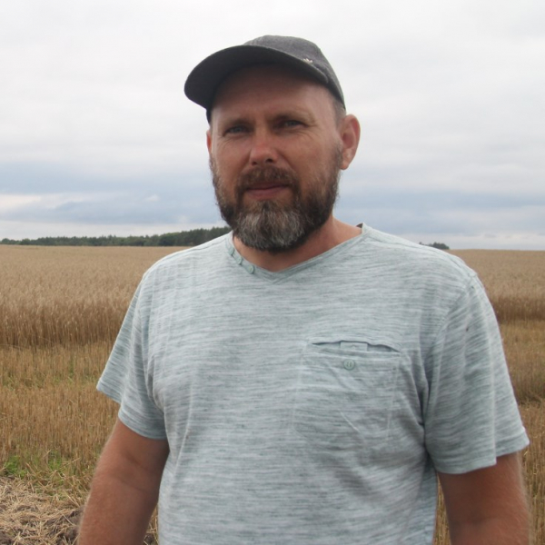 Коли ревуть буйволи – чекай біди