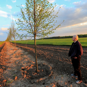 Алея пам'яті Леоніда Яковишина