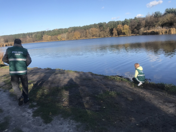 Зрізав родючий шар ґрунту біля Стрижня