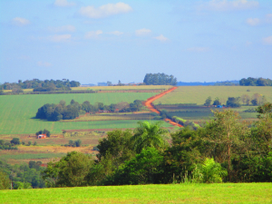 Типовий краєвид південного Парагваю
