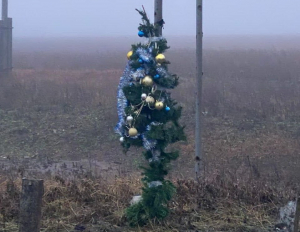 Генерал Віктор Ніколюк показав «головну ялинку країни»