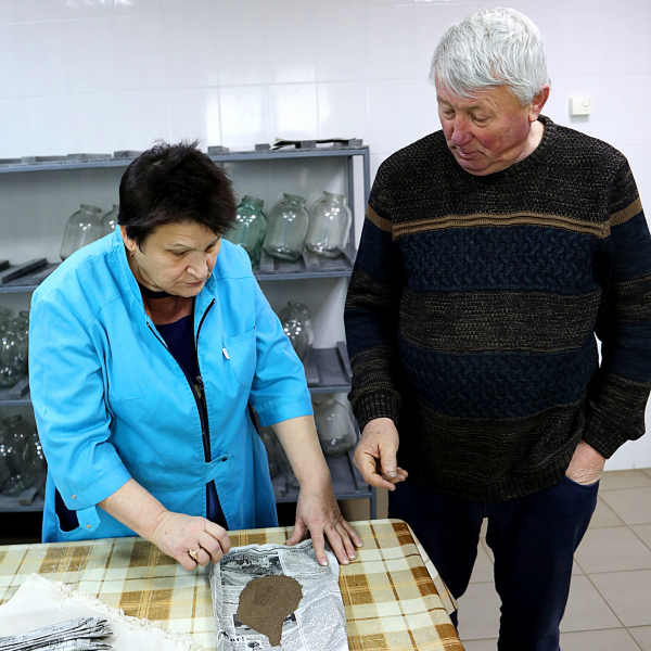 Корисні комахи, які рятують врожай: у «Землі і волі» діє унікальна лабораторія трихограми