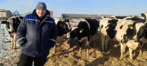 Ігор Хлистун та чистокровні нетелі господарства породи голштин