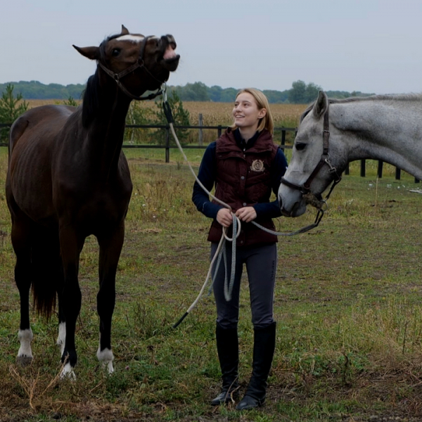 Як шукали коней під час окупації та після неї