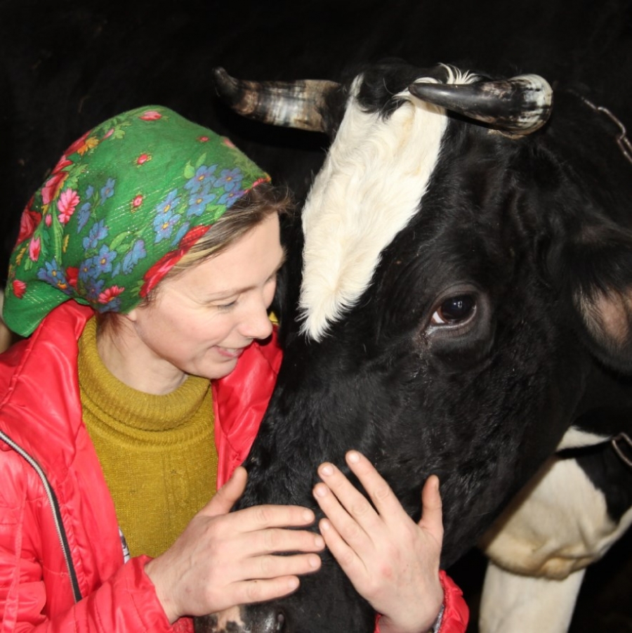 Оксана Верхуша зі Стахорщини утримує з чоловіком шосту частину сільського поголів’я корів