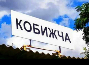 У Кобижчі просять облаштувати безпечний пішохідний перехід біля школи