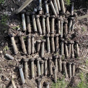 Таке "насіння" вивезли з полів і знищили